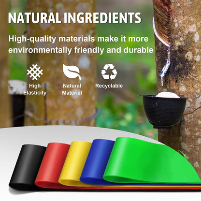 Resistance Bands for Working Out Elastic Exercice Loop Band for Pilates Yoga Starter Set of 5 for Booty Legs Stretch Flexbands