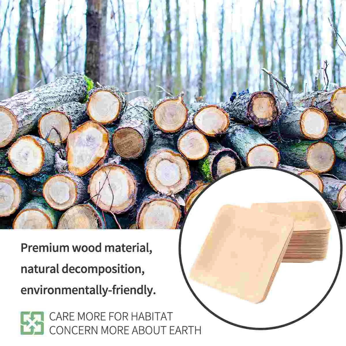 Eco-Friendly Square Wooden Plates – Pack of 50