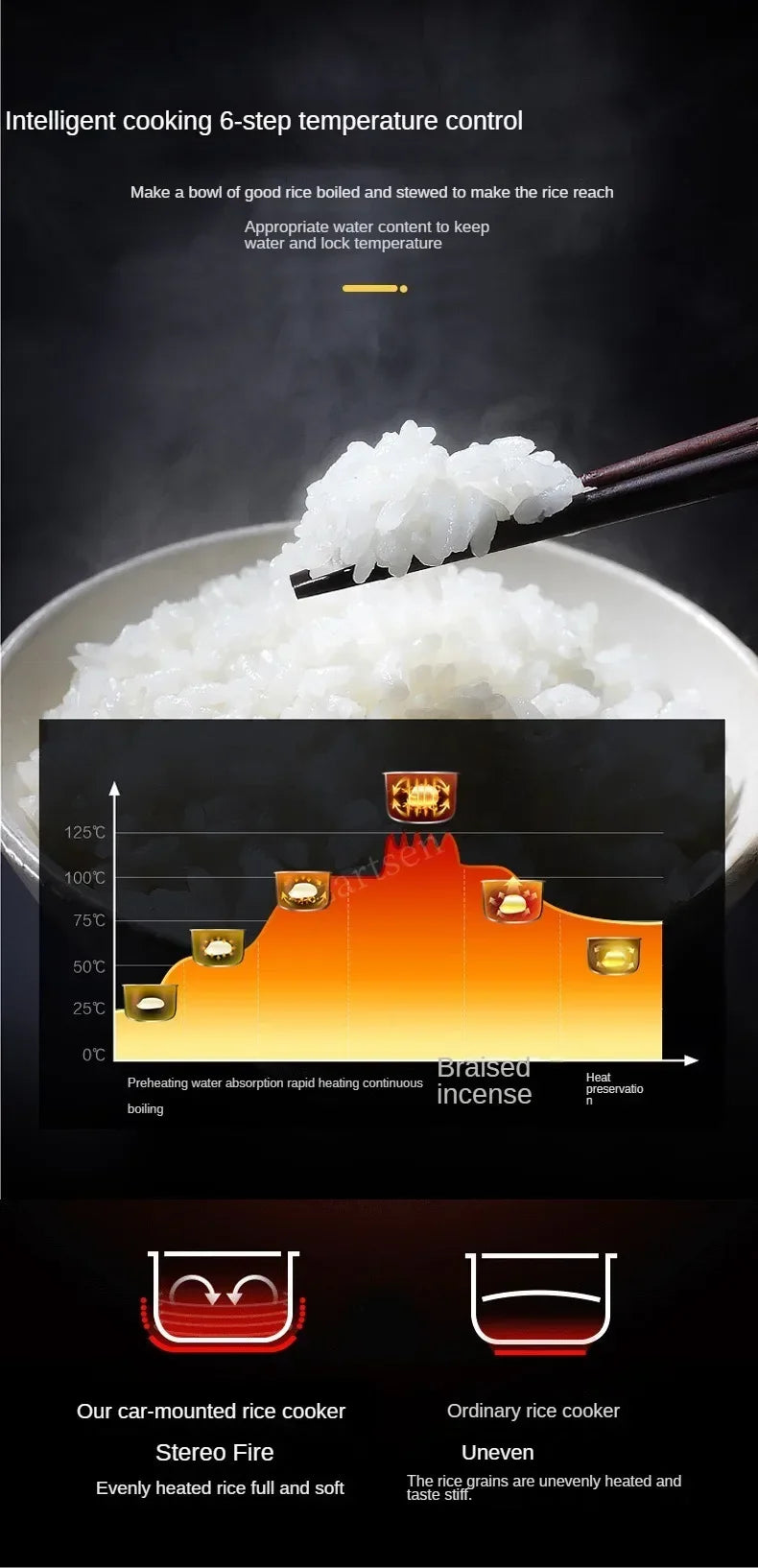 2L Portable Electric Rice Cooker for Car, Truck & Travel